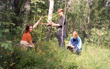 Где тут следы старинной аллеи?