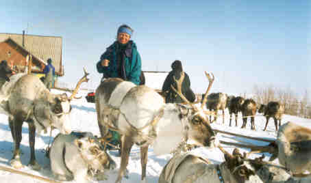 Мы поедем, мы помчимся на оленях утром ранним...
