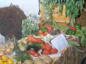 Такие, почти средиземноморские деликатесы растут на новгородских грядках