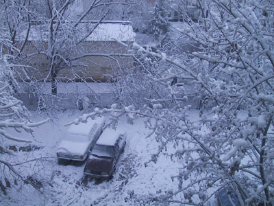 С наступившим 2006 годом!